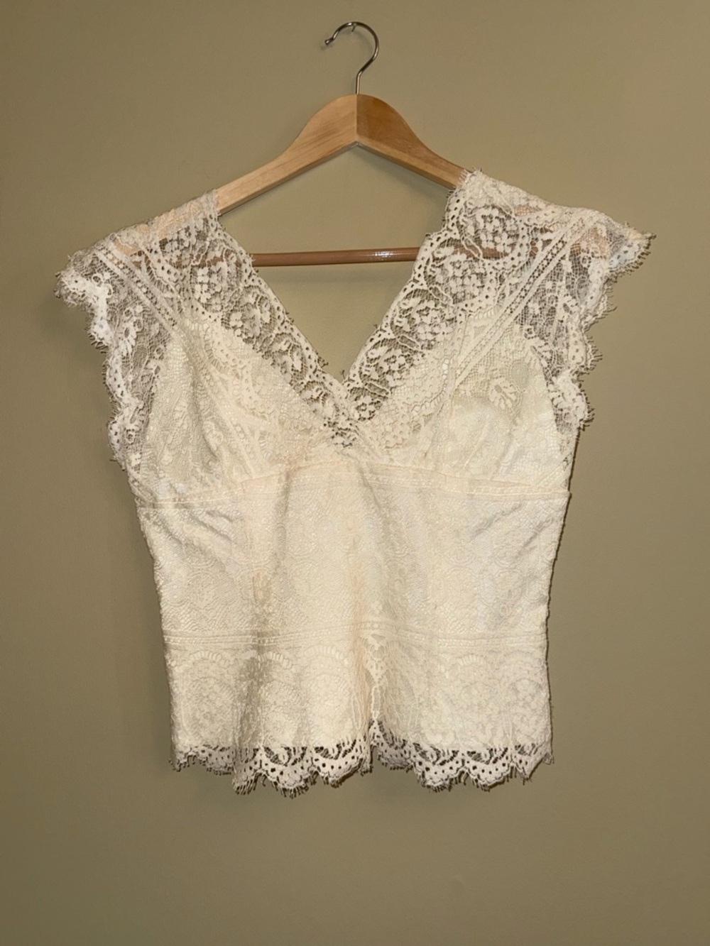 Vintage Watters Boho Lace Corset Bride Top Size 4 Victorian Romance Indie Ivory